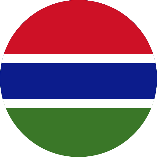 Gambia flag